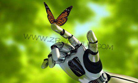 ��˹�������һ�������ĳ���