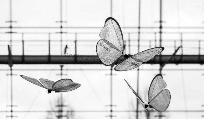 �������˻������Ƽ�ɵ���������