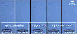 ��С����΢�ͻ����ˣ�������ʲô���ƶ����أ�