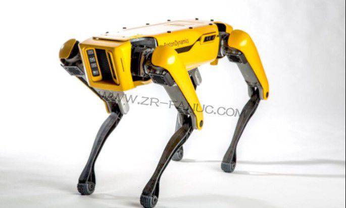 IEEEѡ����2019�����������TOP15��