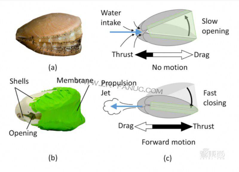 ��������˿���ˮǰ������������ʿ���������з�����������