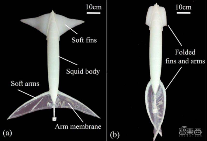 ��������˿���ˮǰ������������ʿ���������з�����������