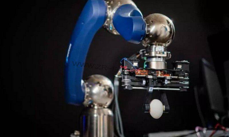 ���������ץ�֣����������ָ������ץס��������ˣ�