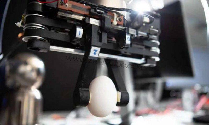 ���������ץ�֣����������ָ������ץס��������ˣ�