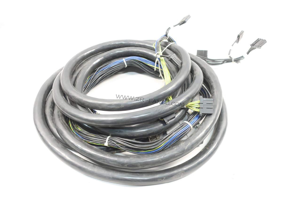 ���ǿƻ����˶�����ά�޲�������