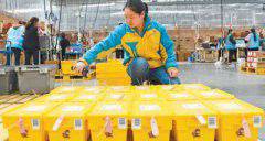 ˫ʮһ���������۶��2539.7�� ���������˳��ȵ�