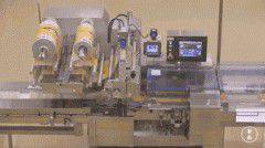 ������ˮ�ȹ������ع⣬�ٲ�Ŭ�����ʧҵ��