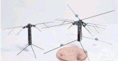 1.36gһķлˣϼݴѧƳɹ