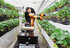 ժ��ݮ����������