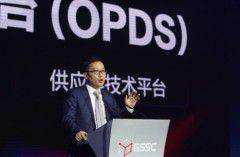 ��������CEO����ԣ�˫ʮһ��Ͷ��70�������˲�