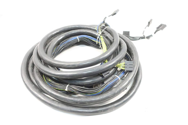 ���ǿƻ����˶����߹���ά��